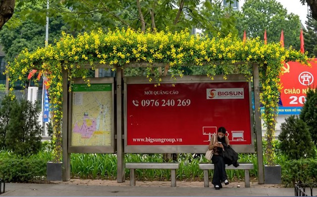 Hanoi plans to cover transit structures with climbing plants - Ảnh 3.