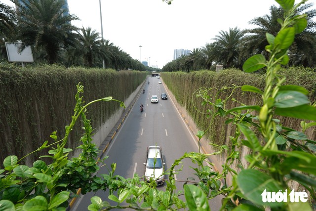 Hanoi plans to cover transit structures with climbing plants - Ảnh 1.