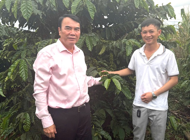 Why Vietnam’s world-leading Robusta is still treated as a ‘filler’ coffee- Ảnh 6.