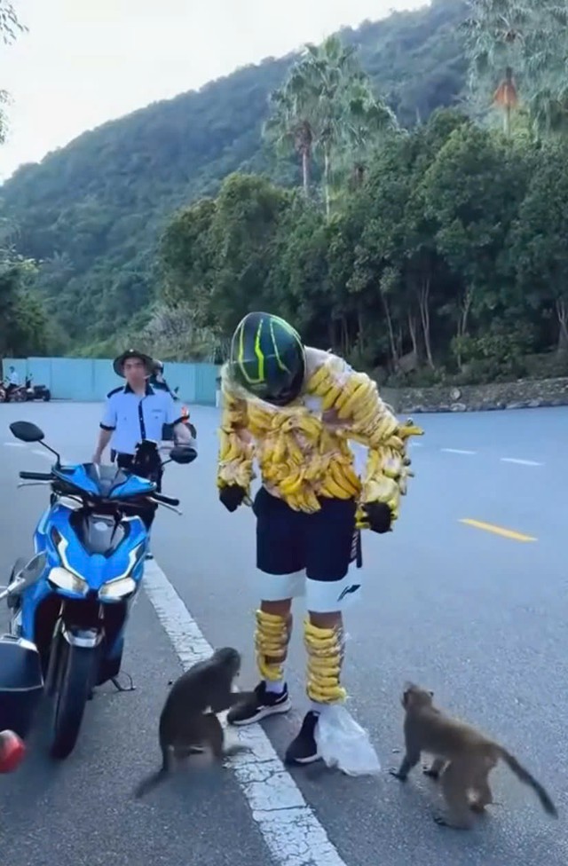 Tourists feed Son Tra’s wild monkeys despite warnings. Will Vietnam impose fines?- Ảnh 3.