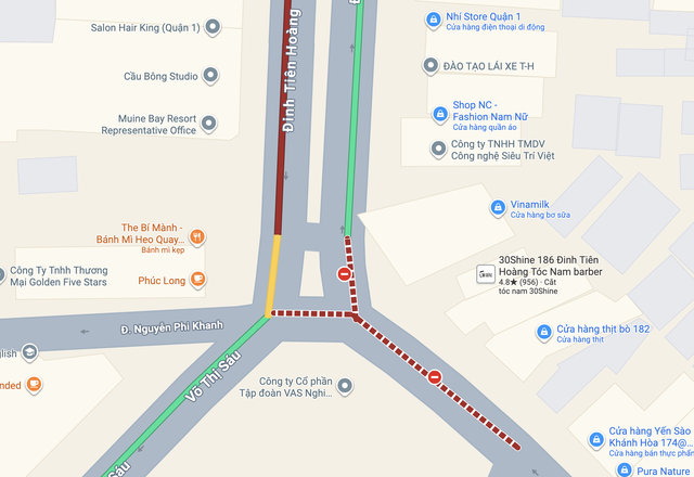 Bodhi tree crashes down at busy Ho Chi Minh City intersection, causing major traffic jam - Ảnh 3.