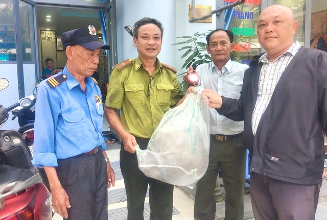 Ho Chi Minh City rangers capture 9kg long-tailed macaque causing trouble in residential area - Ảnh 1.