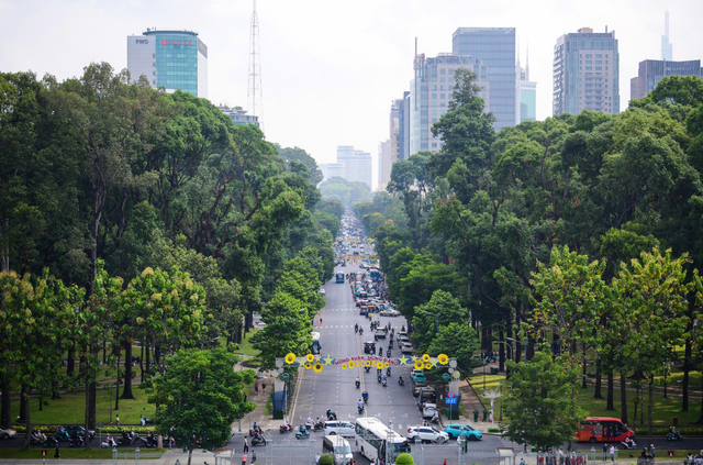 Green city does not mean saving every tree: Vietnamese expert- Ảnh 2.