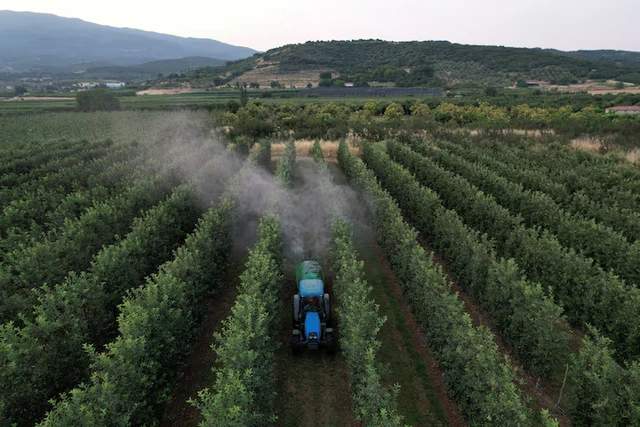 Toxic chemicals permeate the food we eat. Here’s how to design them out- Ảnh 1. Toxic chemicals permeate the food we eat. Here’s how to design them out- Ảnh 1.