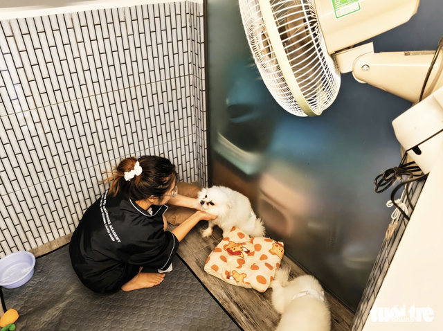 Young Vietnamese pet owners rush to grooming, boarding services ahead of Tet- Ảnh 2.