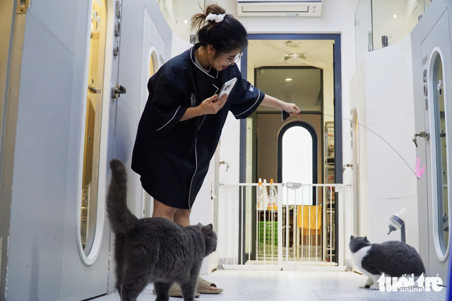 Young Vietnamese pet owners rush to grooming, boarding services ahead of Tet- Ảnh 3.