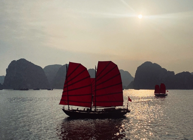 Traditional junks return to Vietnam’s Ha Long Bay, stir memories, tourism hopes- Ảnh 4.