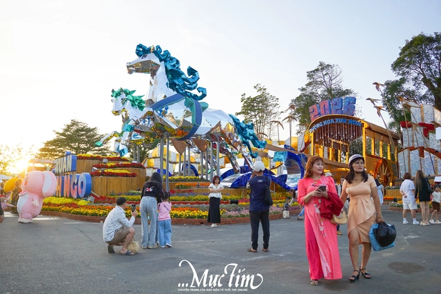 Ngựa đỏ tung vó, ngựa kéo xe hoa tại Đắk Lắk hút khách tham quan- Ảnh 1.