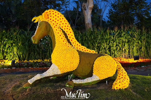 Ngựa đỏ tung vó, ngựa kéo xe hoa tại Đắk Lắk hút khách tham quan- Ảnh 9.