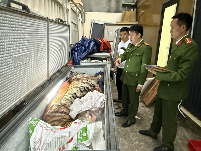 Police indict 2 men over illegal tiger bone paste operation in Vietnam’s Thanh Hoa- Ảnh 1.