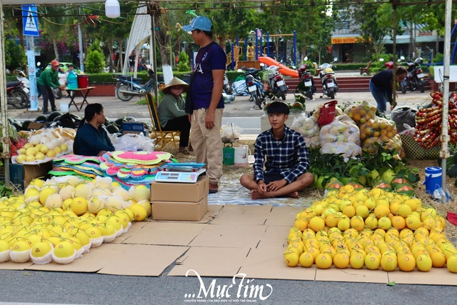 Ngập tràn sắc xuân tại chợ hoa Tết Bính Ngọ phường Ngã Bảy (TP Cần Thơ)- Ảnh 3.