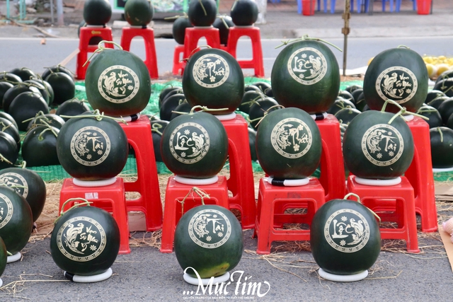 Ngập tràn sắc xuân tại chợ hoa Tết Bính Ngọ phường Ngã Bảy (TP Cần Thơ)- Ảnh 4.