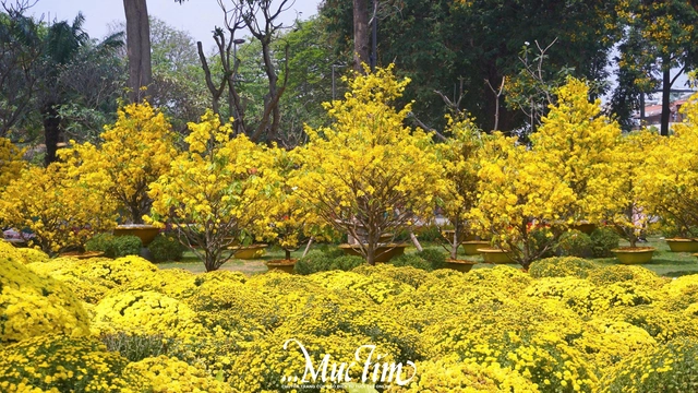 Bạn trẻ xúc động khi tham quan Công viên số 1 Lý Thái Tổ - Ảnh 7.