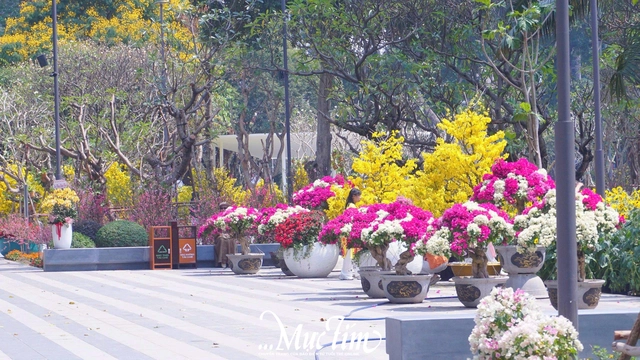 Bạn trẻ xúc động khi tham quan Công viên số 1 Lý Thái Tổ - Ảnh 8.