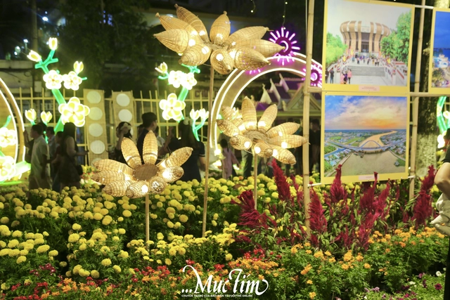 Đường hoa xuân Cần Thơ thu hút hàng trăm lượt khách đêm khai mạc- Ảnh 3.