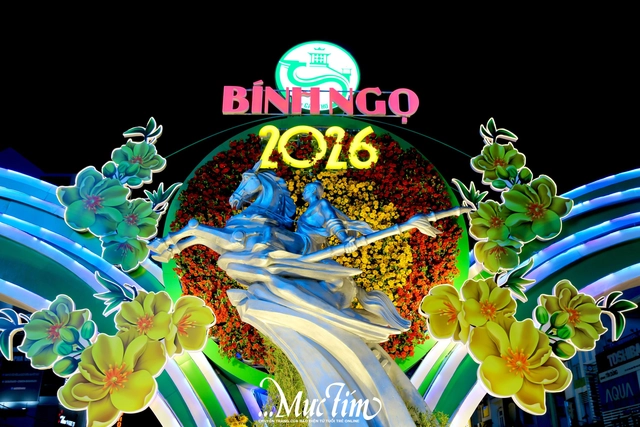 Đường hoa xuân Cần Thơ thu hút hàng trăm lượt khách đêm khai mạc- Ảnh 14.