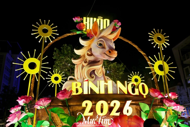 Đường hoa xuân Cần Thơ thu hút hàng trăm lượt khách đêm khai mạc- Ảnh 15.