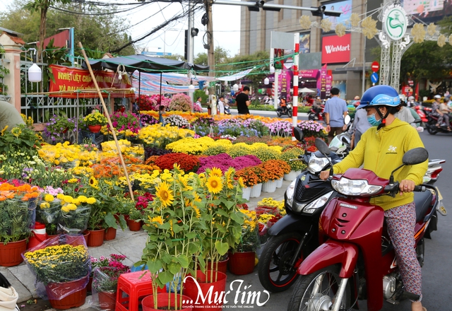 Chợ hoa giáp Tết Cần Thơ: Giá cả ổn định, tấp nập người ghé mua- Ảnh 2.