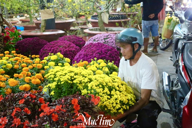 Chợ hoa giáp Tết Cần Thơ: Giá cả ổn định, tấp nập người ghé mua- Ảnh 4.