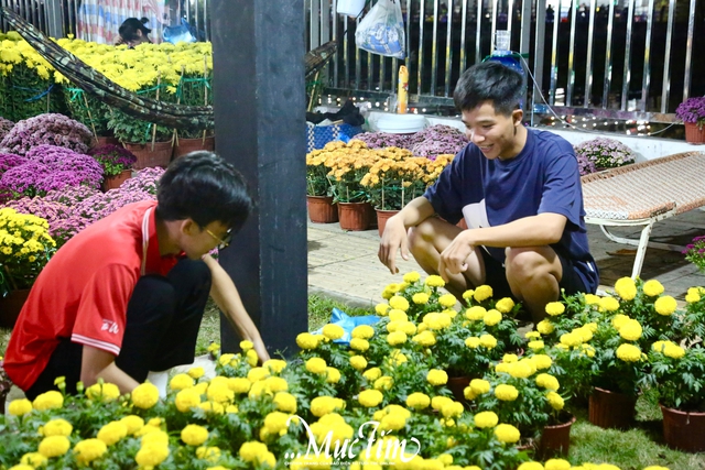 Chợ hoa giáp Tết Cần Thơ: Giá cả ổn định, tấp nập người ghé mua- Ảnh 5.