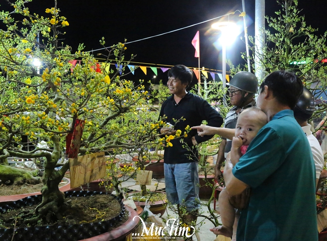 Chợ hoa giáp Tết Cần Thơ: Giá cả ổn định, tấp nập người ghé mua- Ảnh 8.