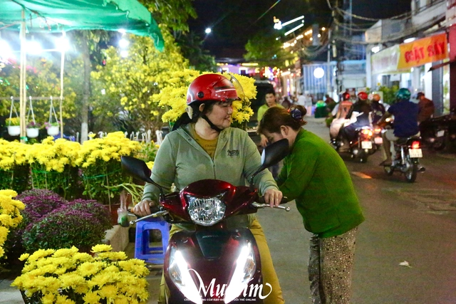 Chợ hoa giáp Tết Cần Thơ: Giá cả ổn định, tấp nập người ghé mua- Ảnh 9.
