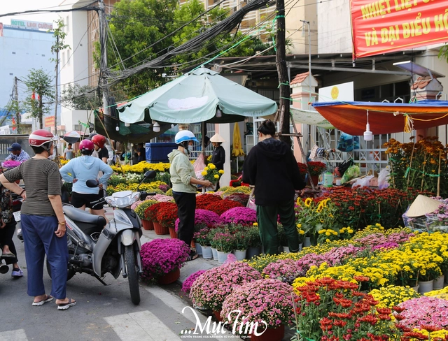 Chợ hoa giáp Tết Cần Thơ: Giá cả ổn định, tấp nập người ghé mua- Ảnh 1.