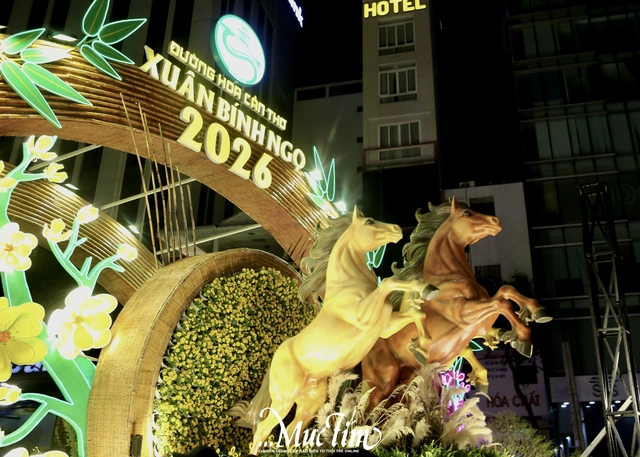 Đường hoa xuân Cần Thơ thu hút hàng trăm lượt khách đêm khai mạc- Ảnh 1.