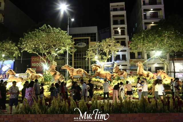 Đường hoa xuân Cần Thơ thu hút hàng trăm lượt khách đêm khai mạc- Ảnh 2.