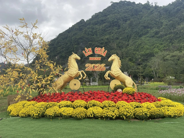 Gợi ý các địa điểm du xuân Tết Bính Ngọ tại Quảng Trị   - Ảnh 8.