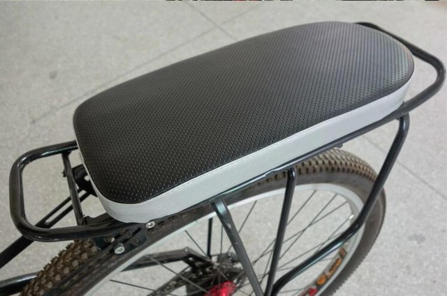 Sau yên xe đạp của chú - Ảnh 1.