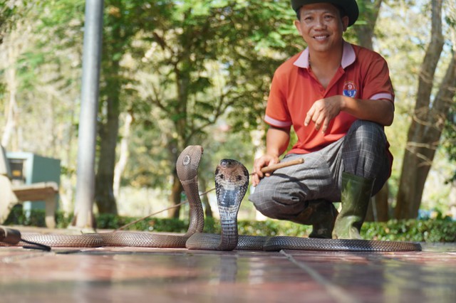 Foreign tourists embrace snakes for photos at snake farm in Vietnam’s Dong Thap - Ảnh 4.