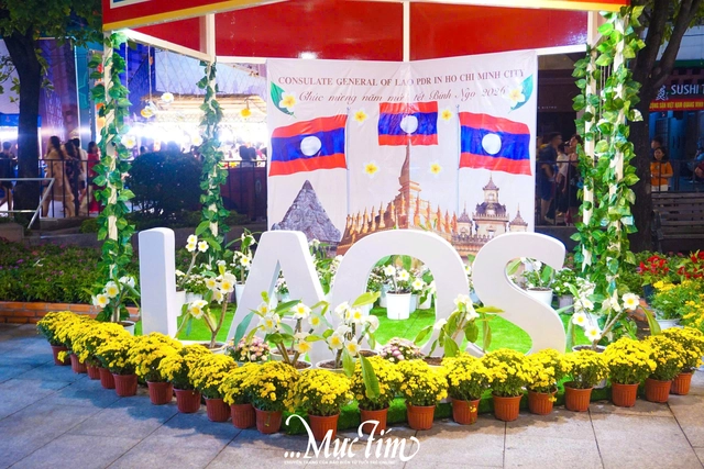 Đường hoa Nguyễn Huệ 2026 lần đầu có hai phiên bản ngày - đêm- Ảnh 12.