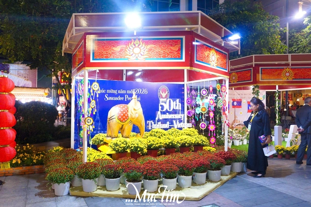 Đường hoa Nguyễn Huệ 2026 lần đầu có hai phiên bản ngày - đêm- Ảnh 13.