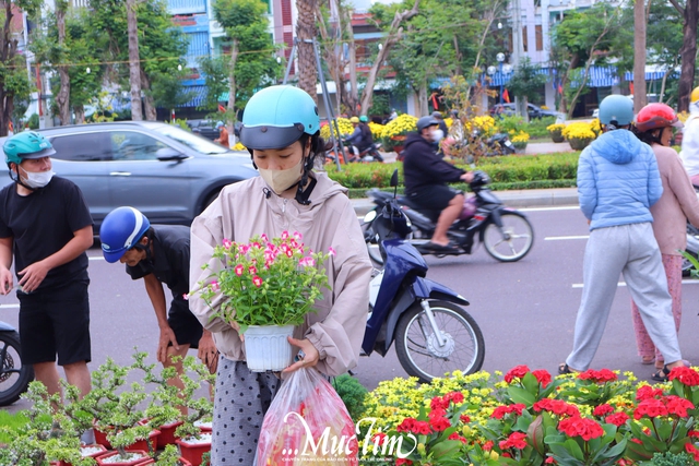 Dạo đường hoa Nguyễn Tất Thành (Gia Lai) ngày 29 Tết- Ảnh 15.
