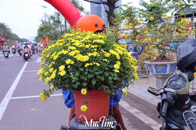 Dạo đường hoa Nguyễn Tất Thành (Gia Lai) ngày 29 Tết- Ảnh 19.