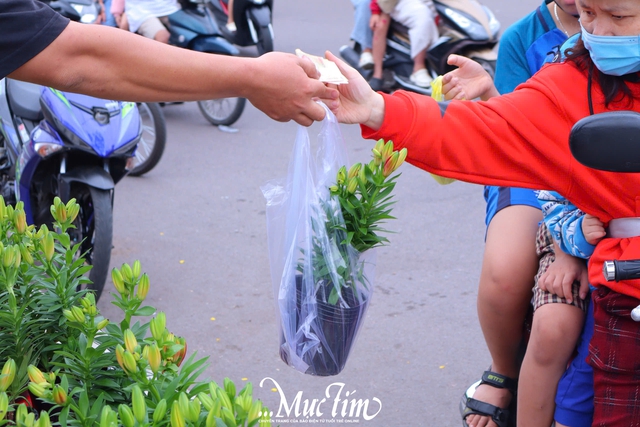 Dạo đường hoa Nguyễn Tất Thành (Gia Lai) ngày 29 Tết- Ảnh 20.