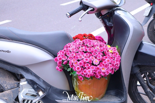 Dạo đường hoa Nguyễn Tất Thành (Gia Lai) ngày 29 Tết- Ảnh 22.