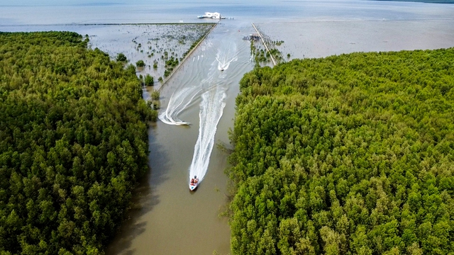 Tết này đến Cà Mau chơi đâu vui, ăn gì ngon?- Ảnh 2.