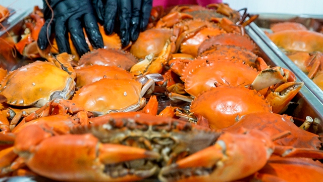 Tết này đến Cà Mau chơi đâu vui, ăn gì ngon?- Ảnh 8.