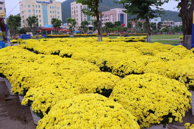 Ngả màu xuân - Ảnh 1.