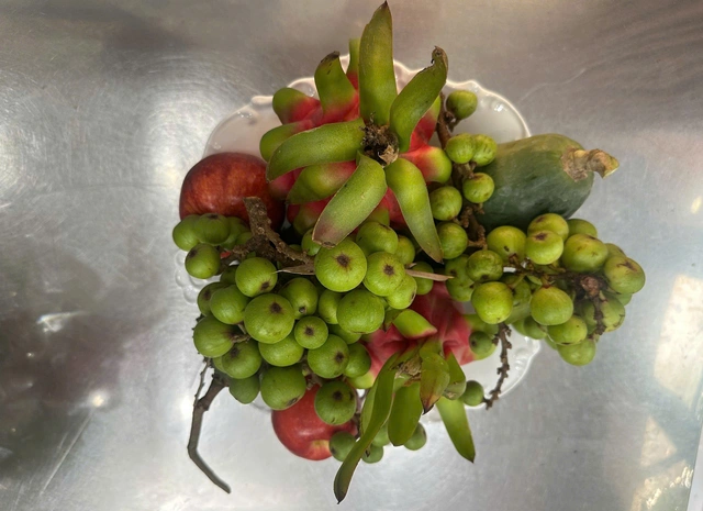 Bạn trẻ tự tay chưng mâm ngũ quả ngày Tết- Ảnh 4.