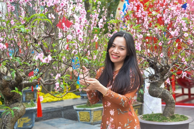 [LIVE BLOG] Fireworks light up the skies across Vietnam to welcome Lunar New Year - Ảnh 16.