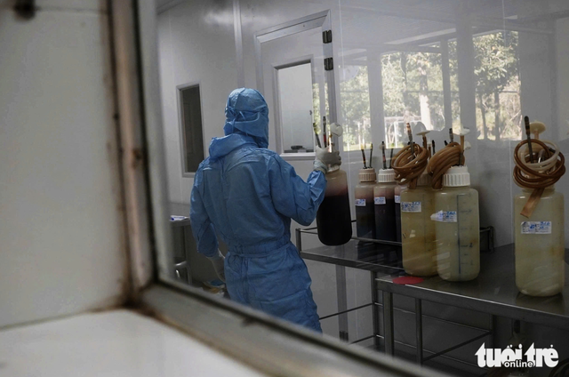 Silent saviors: how horses power life-saving serum production - Ảnh 6.