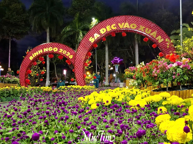 Check-in linh vật ngựa chở đầy hoa tại phường Sa Đéc (Đồng Tháp)- Ảnh 13. Check-in linh vật ngựa chở đầy hoa tại phường Sa Đéc (Đồng Tháp)- Ảnh 13.