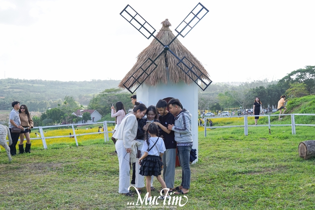 Cánh đồng hoa ở Đắk Lắk có gì khiến các 'nàng thơ' chen chúc check-in dịp Tết này?- Ảnh 9.