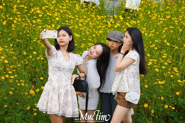 Cánh đồng hoa ở Đắk Lắk có gì khiến các 'nàng thơ' chen chúc check-in dịp Tết này?- Ảnh 5.