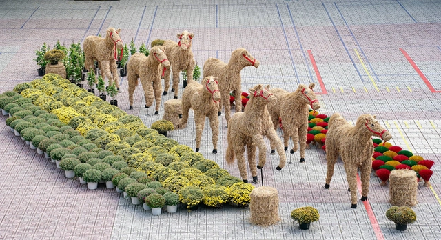 Mang ngay sắc xuân đến đây cho trường tui - Ảnh 9.