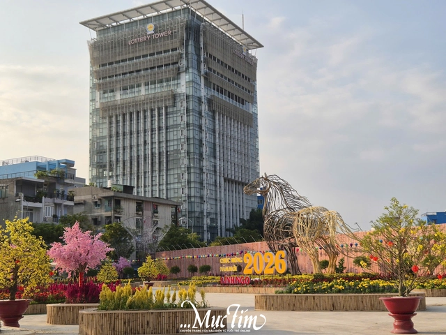 Đi đâu chơi gì trong những ngày còn lại của Tết Bính Ngọ 2026?- Ảnh 12.