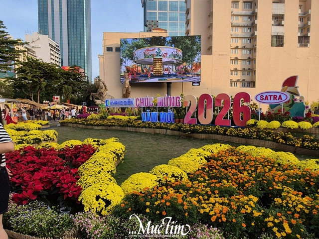 Đi đâu chơi gì trong những ngày còn lại của Tết Bính Ngọ 2026?- Ảnh 15.